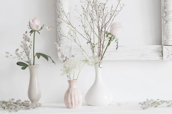 Ainda Vida Com Plantas Vaso Sobre Fundo Branco — Fotografia de Stock