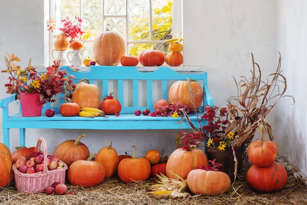 Pumpkins Apples Flowers Old Room — Stock Photo, Image