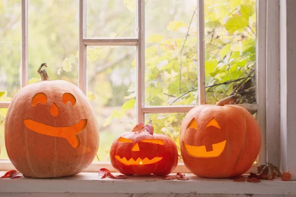 Halloween Pumpa Fönster — Stockfoto