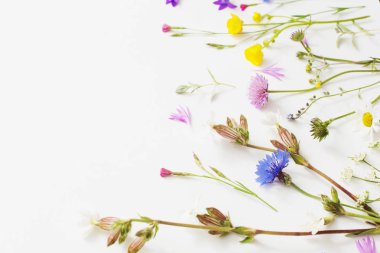 Beyaz Kağıt arka plan üzerinde yaz çiçek