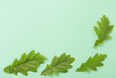 Kağıt arkaplanda yeşil yapraklar