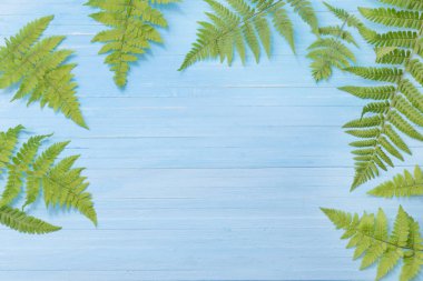 mavi ahşap arka plan üzerinde eğreltiotu yaprakları