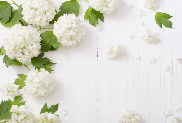 Decoratieve Viburnum Houten Achtergrond — Stockfoto