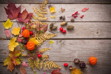 Kırmızı berriaes ve eski ahşap arka plan üzerinde sonbahar yaprakları