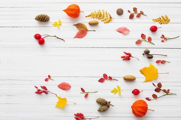 Красные Ягоды Осенние Листья Белом Деревянном Фоне — стоковое фото