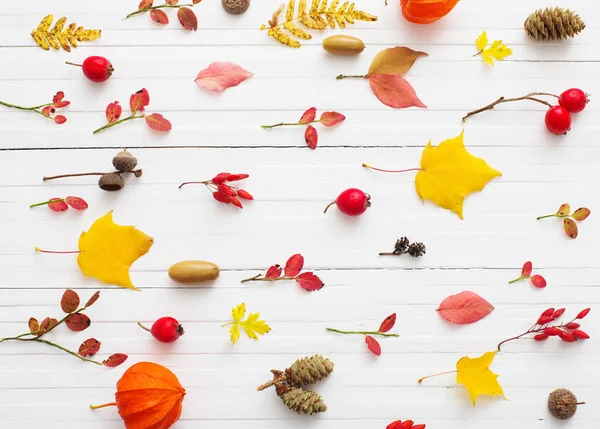 Red Berriaes Autumn Leaves White Wooden Background — Stock Photo, Image