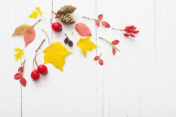 Red Berriaes Autumn Leaves White Wooden Background — Stock Photo, Image