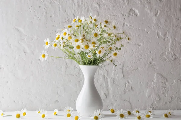 Kamille Der Vase Auf Weißem Hintergrund — Stockfoto