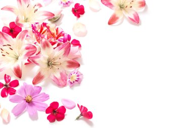 Beyaz arka plan üzerinde izole yaz çiçek