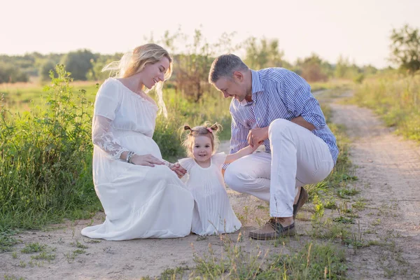 Lycklig Familj Sommaren Park Vid Solnedgången — Stockfoto