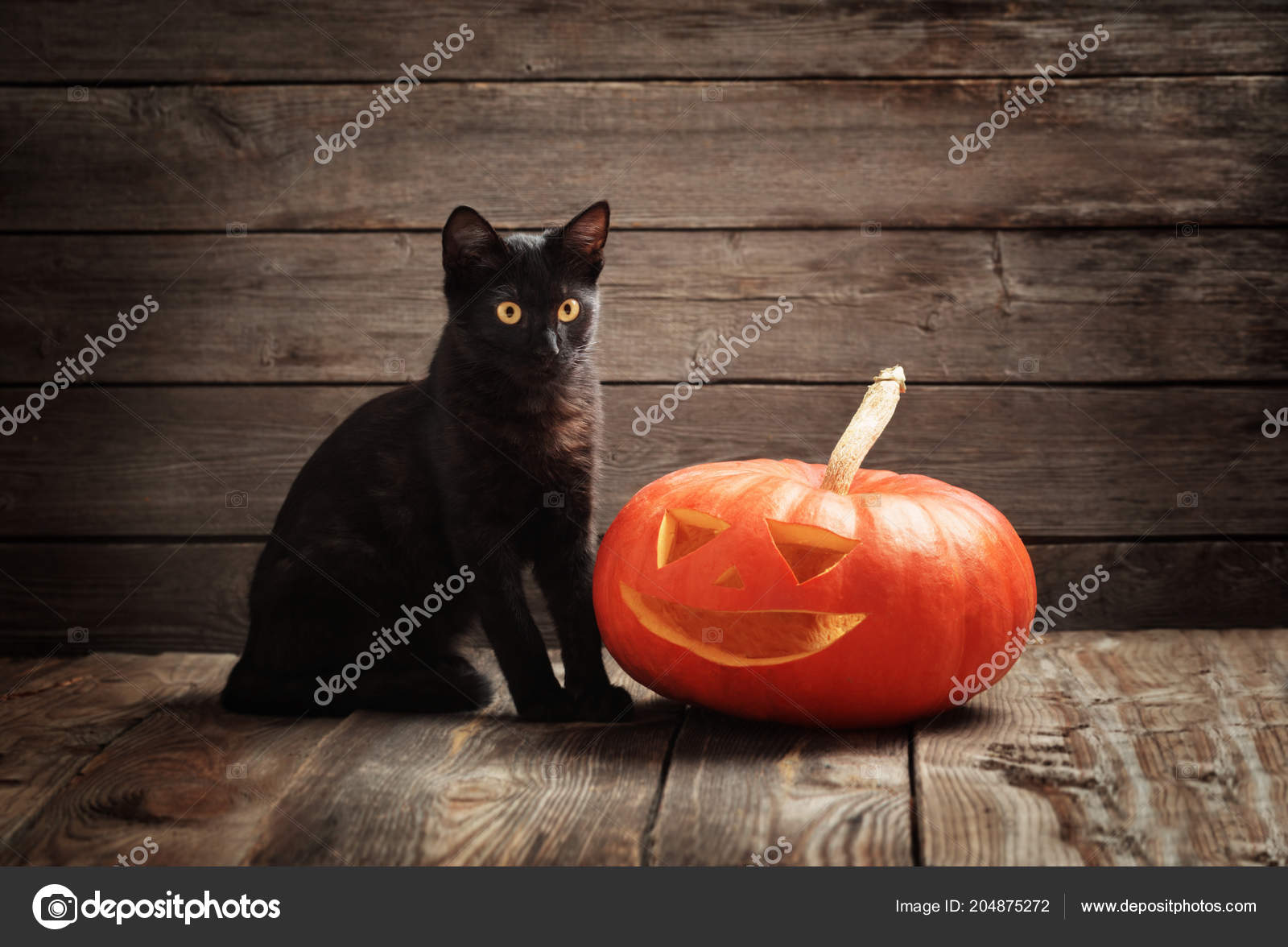 Halloween Pumpkin Black Cat Wooden Background Stock Photo by
