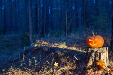 Cadılar Bayramı Balkabağı gece ormanda