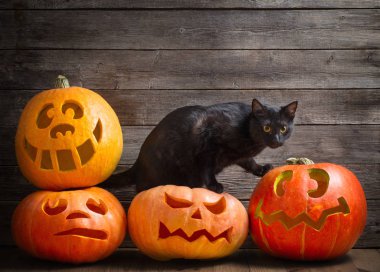 ahşap arka plan üzerinde turuncu halloween kabak ile kara kedi