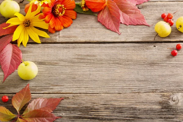 Autumn Background Apples Flowers Leaves — Stock Photo, Image