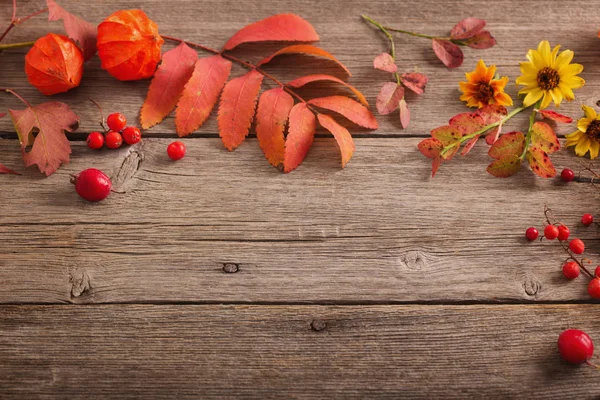 Fondo Otoño Con Flores Hojas — Foto de Stock