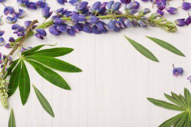 Lupine Beyaz ahşap zemin üzerinde