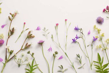 Beyaz Kağıt arka plan üzerinde yaz çiçek