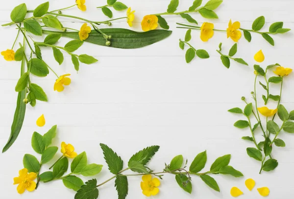 Patrón Floral Con Botones Amarillos Sobre Fondo Blanco —  Fotos de Stock