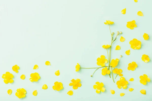 Buttercups Amarillo Sobre Fondo Papel Verde —  Fotos de Stock