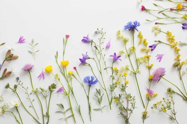 Fleurs Été Sur Fond Papier Blanc — Photo