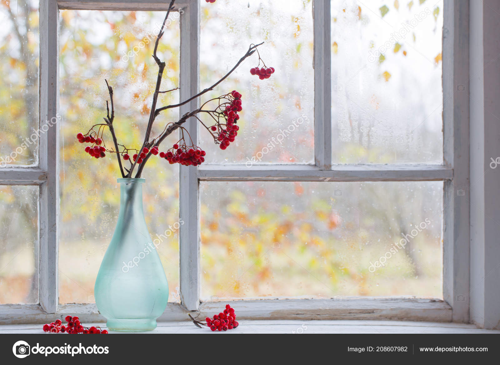 Ветки Роуэн Подоконнике Стоковое Фото ©Kruchenkova 208607982