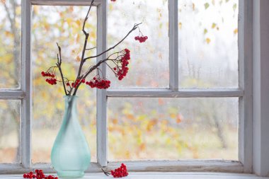 Pencere pervazı dallarda Rowan