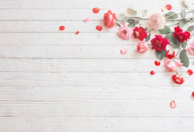 Gül Beyaz ahşap zemin üzerinde