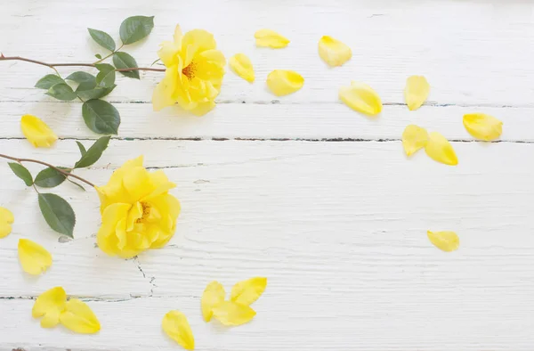 Gele Rozen Witte Houten Achtergrond — Stockfoto