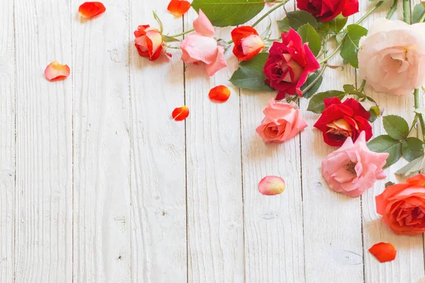 Roses White Wooden Background — Stock Photo, Image