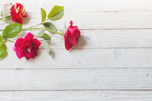 Rosas Fundo Madeira Branco — Fotografia de Stock