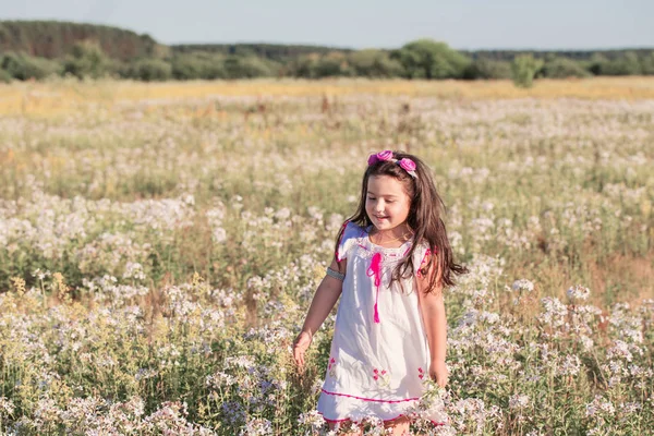 Μικρό Κορίτσι Λουλούδια Καλοκαίρι — Φωτογραφία Αρχείου