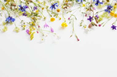 Beyaz Kağıt arka plan üzerinde yaz çiçek