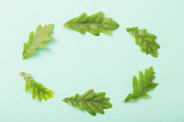 Kağıt arkaplanda yeşil yapraklar