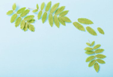 Kağıt arkaplanda yeşil yapraklar