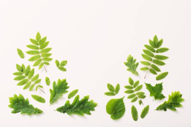 Kağıt arkaplanda yeşil yapraklar