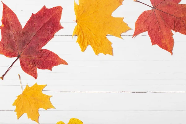 Autumn Leaves White Wooden Background — Stock Photo, Image