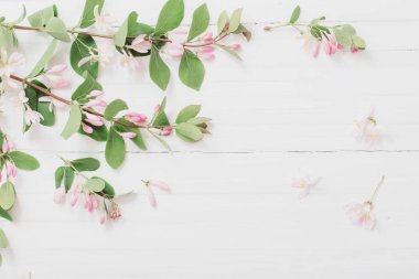 Bush ahşap arka plan üzerinde pembe çiçekli dalları