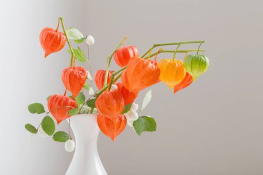 ahşap masa üzerinde kırmızı physalis