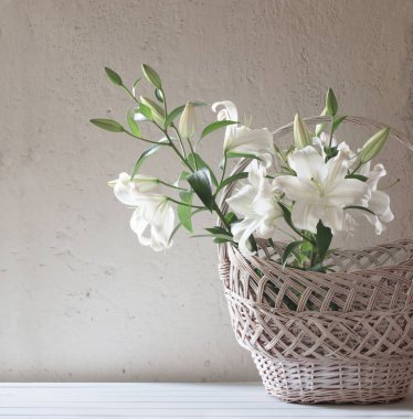 arka plan eski duvarda sepette güzel beyaz zambak