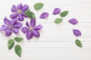 arka plan ile mor akasma