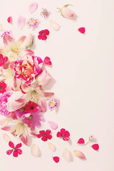 Flores Verão Fundo Branco — Fotografia de Stock