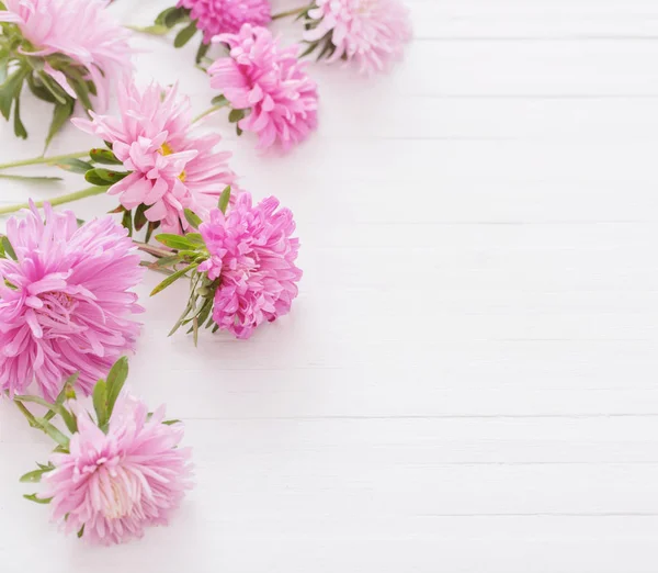 Asters White Wooden Background — Stock Photo, Image