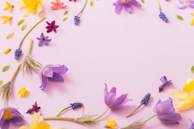 Kağıt arka plan bahar çiçekleri