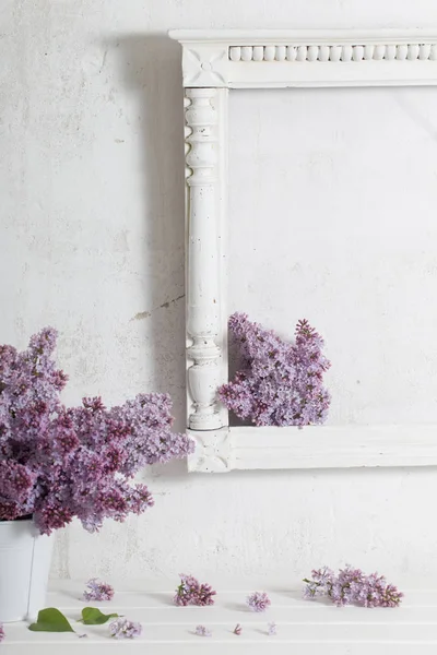 lilac in vase on white background