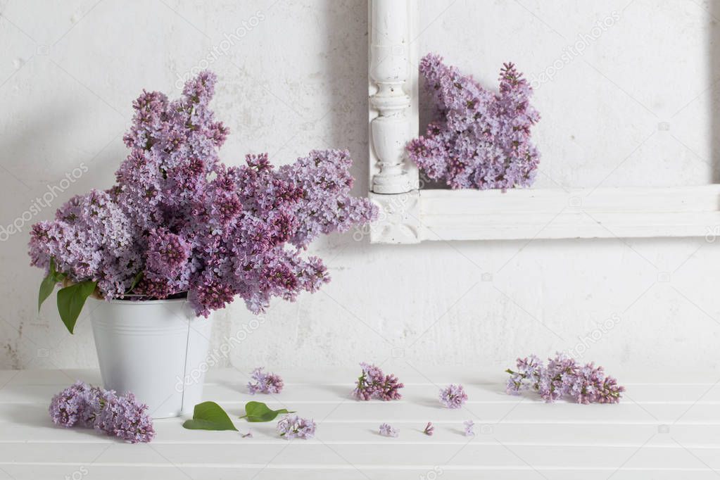 lilac in vase on white background