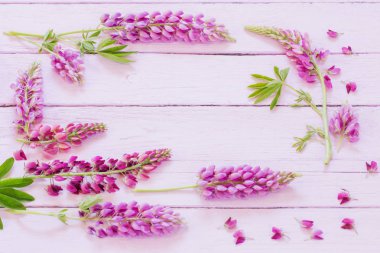 Lupine pembe ahşap zemin üzerine
