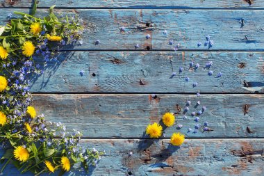eski ahşap zemin üzerine mavi ve sarı çiçek