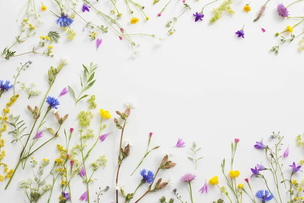 Sommerblumen Auf Weißem Papier Hintergrund — Stockfoto