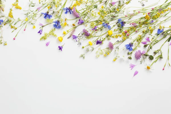 Літні Квіти Білому Паперовому Фоні — стокове фото
