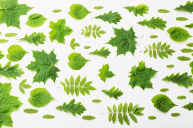 Kağıt arkaplanda yeşil yapraklar